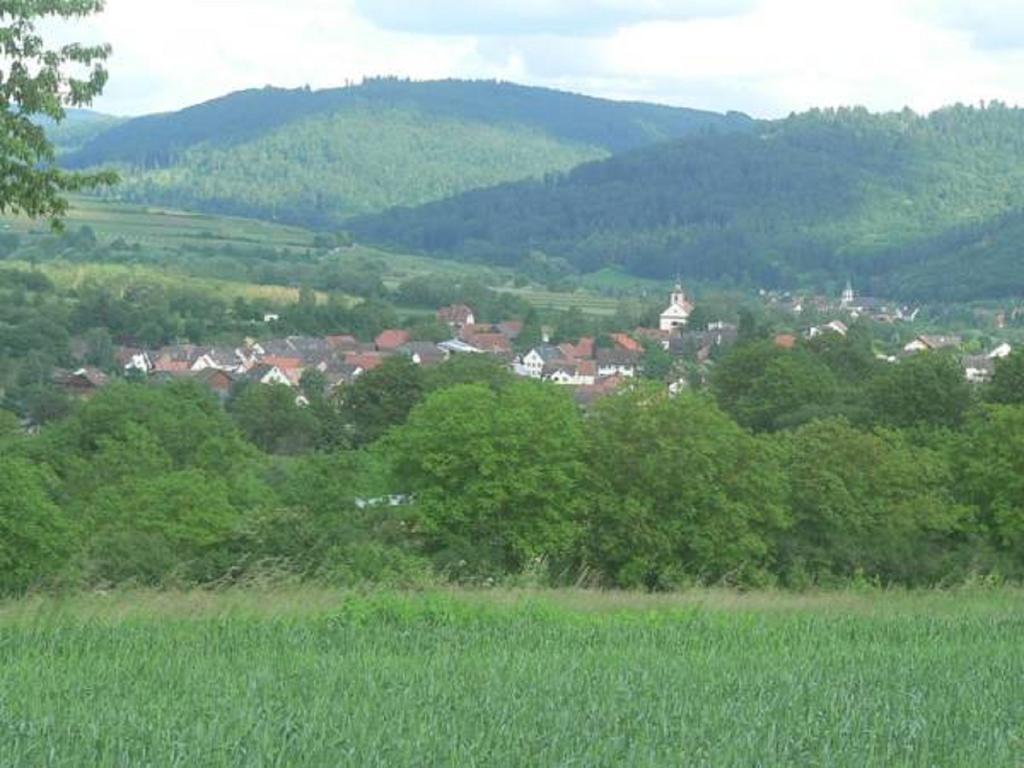 Storchenblick Herbolzheim